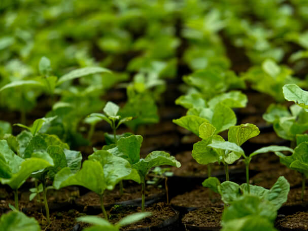 High-quality agrochemicals for healthier crops