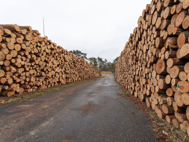 Sustainably sourced timber for construction and furniture by Maisah Exim